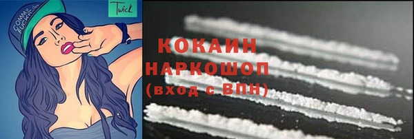 гидра Наволоки