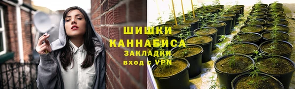 гидра Наволоки