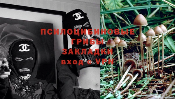 прущая мука Нея